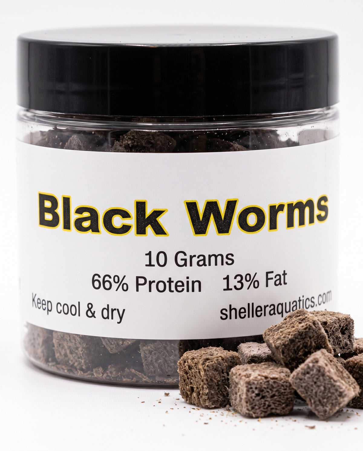 🐛 BIG Australian Blackworms 10g - Back in Stock